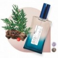 512 - Amaderada Aromática