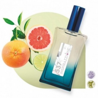 537 - Cítrica Aromática