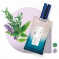 581 - Aromática Fougère