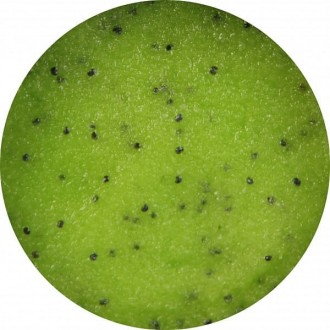 Exfoliante corporal  de Kiwi y Lima Party time!