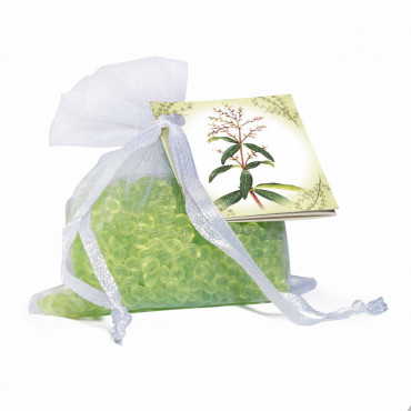 Mini Resinas Perfumadas VERBENA 40g