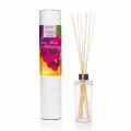Mikado Perfume ENTRE UVAS Y NARANJOS 200ml