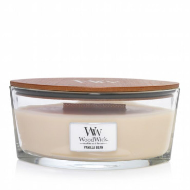 Ellipse Core VANILLA BEAN