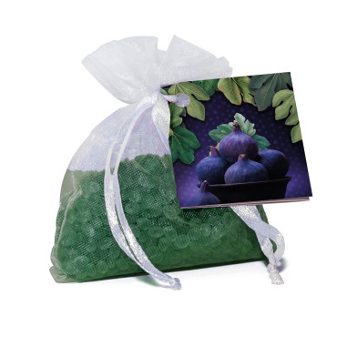 Mini Resinas Perfumadas FIGUE 40g