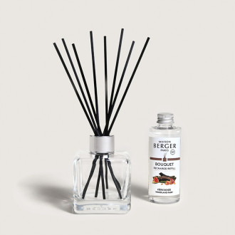 Mikado FEERIE BOISEE 100ml