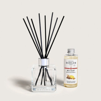 Mikado ORANGE CANNELLE 100ml