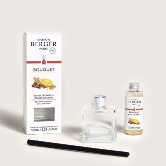 Mikado ORANGE CANNELLE 100ml