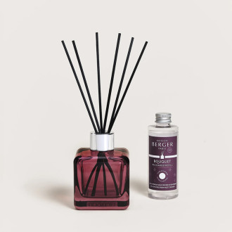 Mikado Neutralizador Olores RENFERME 100ml
