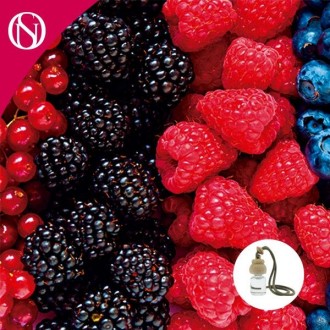 Ambientador de coche Frutos Rojos