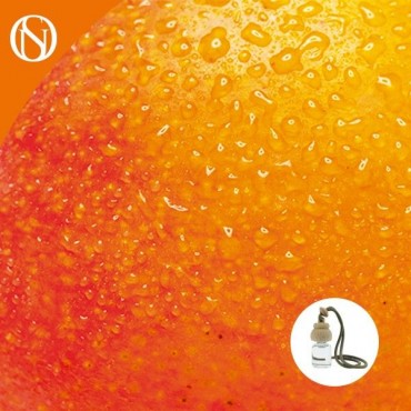 Ambientador de coche Mango