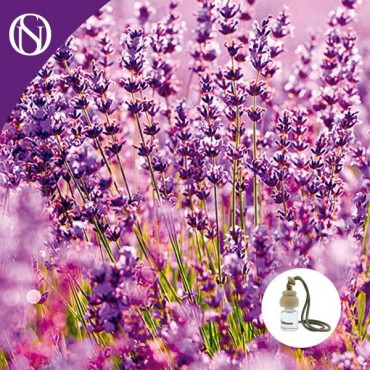 Ambientador de coche Lavanda