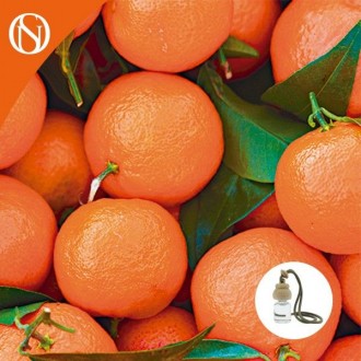 Ambientador de coche Mandarina