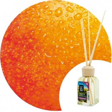 Ambientador Mikado "Mango" Essence & soul