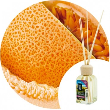 Ambientador Mikado "Melón" Essence & soul
