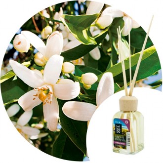 Ambientador Mikado "Azahar" Essence & soul