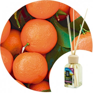 Ambientador Mikado "Mandarina" Essence & soul