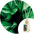 Ambientador Mikado "Clorofila" Essence & soul