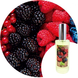 Ambientador de hogar "Frutos rojos" Essence & Soul
