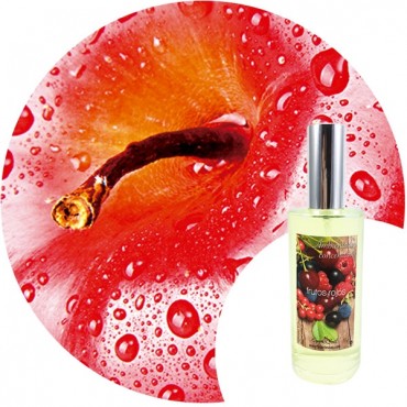 Ambientador de hogar "Manzana roja" Essence & Soul