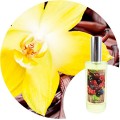 Ambientador de hogar "Vainilla" Essence & Soul
