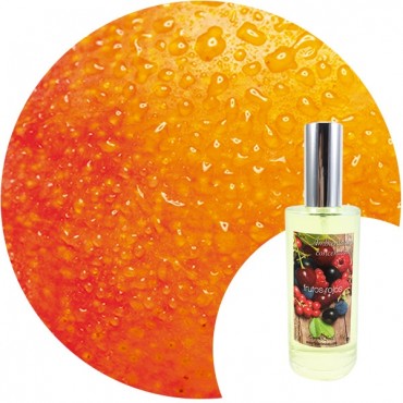 Ambientador de hogar "Mango" Essence & Soul