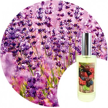Ambientador de hogar "Lavanda" Essence & Soul