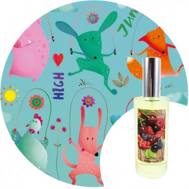 Ambientador de hogar "Infantil" Essence & Soul