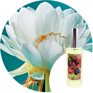 Ambientador de hogar "Dama de noche" Essence & Soul