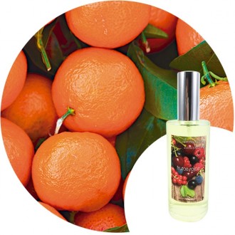Ambientador de hogar "Mandarina" Essence & Soul