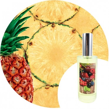 Ambientador de hogar "Piña" Essence & Soul
