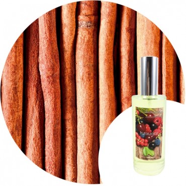 Ambientador de hogar "Canela" Essence & Soul