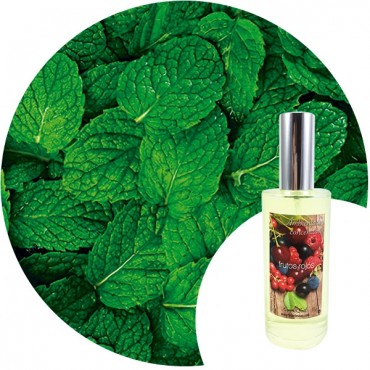 Ambientador de hogar "Menta" Essence & Soul