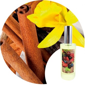 Ambientador de hogar "Canela Vainilla" Essence & Soul