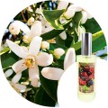 Ambientador de hogar "Azahar" Essence & Soul