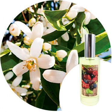 Ambientador de hogar "Azahar" Essence & Soul