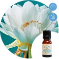 Aceite Hidrosoluble "Dama de noche" Essence & soul