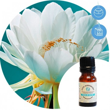 Aceite Hidrosoluble "Dama de noche" Essence & soul