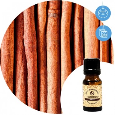 Aceite Hidrosoluble "Canela" Essence & soul