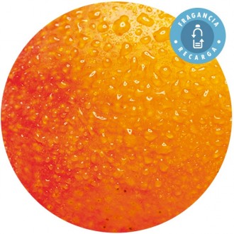 Fragancia "Mango" Recarga Ambientador Mikado - Essence & soul