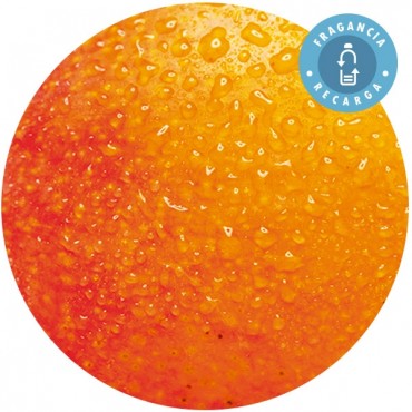 Fragancia "Mango" Recarga Ambientador Mikado - Essence & soul