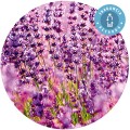 Fragancia "Lavanda" Recarga Ambientador Mikado - Essence & soul