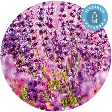 Fragancia "Lavanda" Recarga Ambientador Mikado - Essence & soul