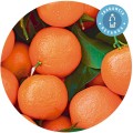 Fragancia "Mandarina" Recarga Ambientador Mikado - Essence & soul