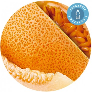 Fragancia "Melón" Recarga Ambientador Mikado - Essence & soul