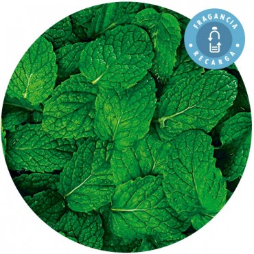 Fragancia "Menta" Recarga Ambientador Mikado - Essence & soul