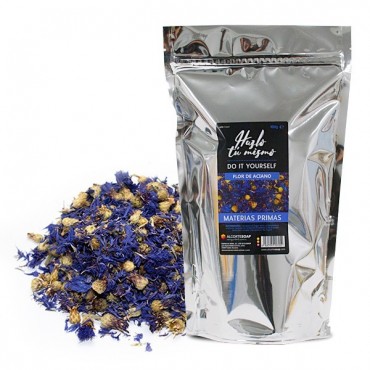 Flor de Aciano Azul